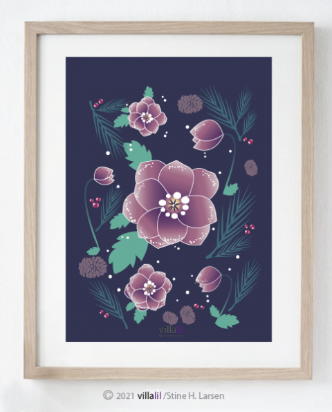 Villalil julerose Villalil julerose